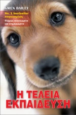 Η τέλεια εκπαίδευση