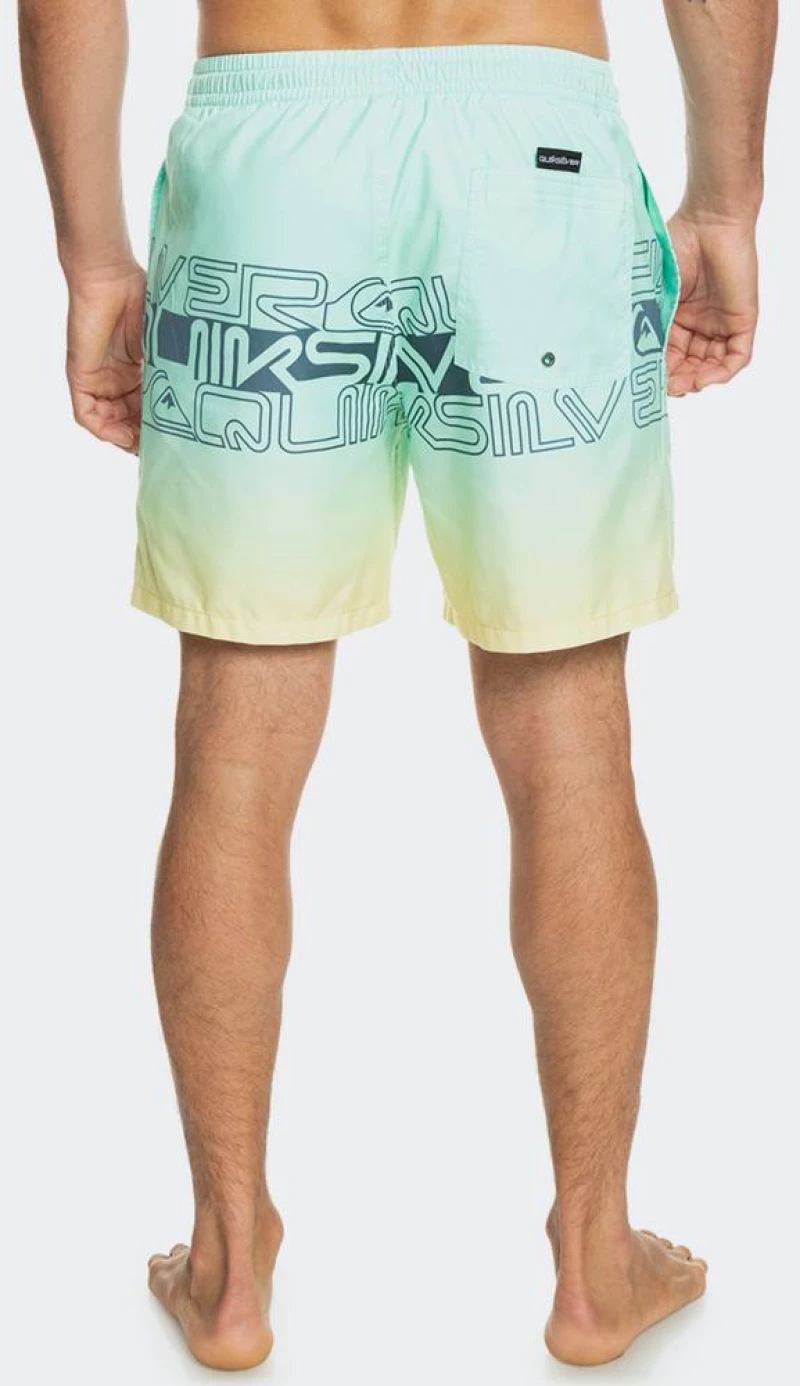 QUIKSILVER EVERYDAY WORDBLOCK VOLLEY 17 - EQYJV04005-GCZ6