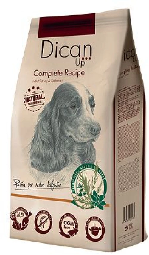 Dican up Complete Recipe    14kgr
