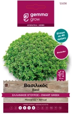 Βασιλικός ελληνικός σγουρός 12636