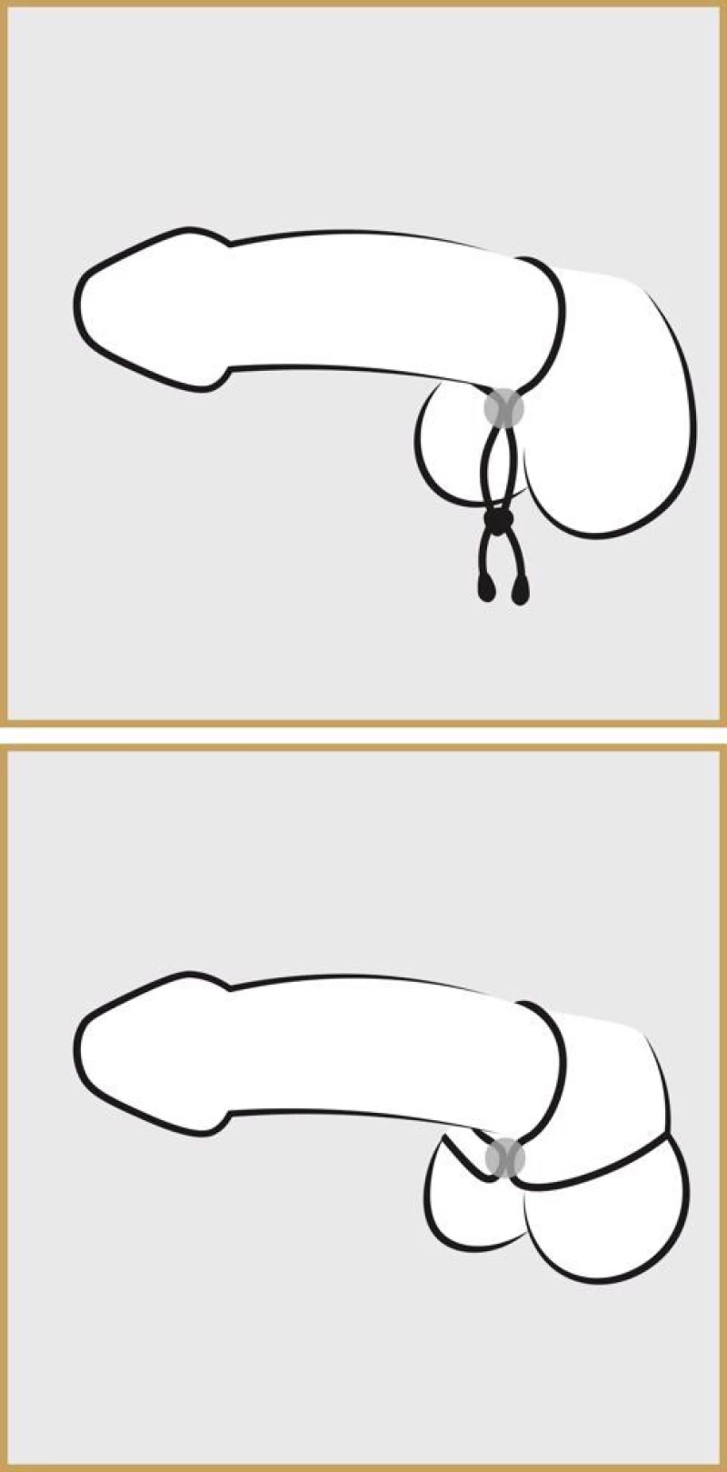 Cock & ball loop