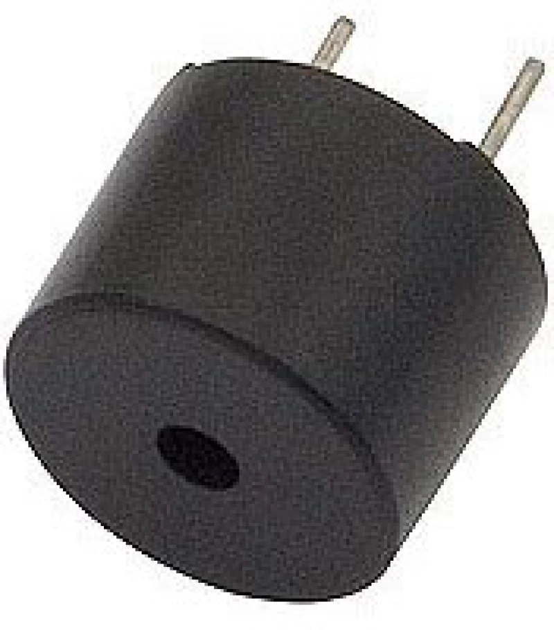 Buzzer 12V DM-6002