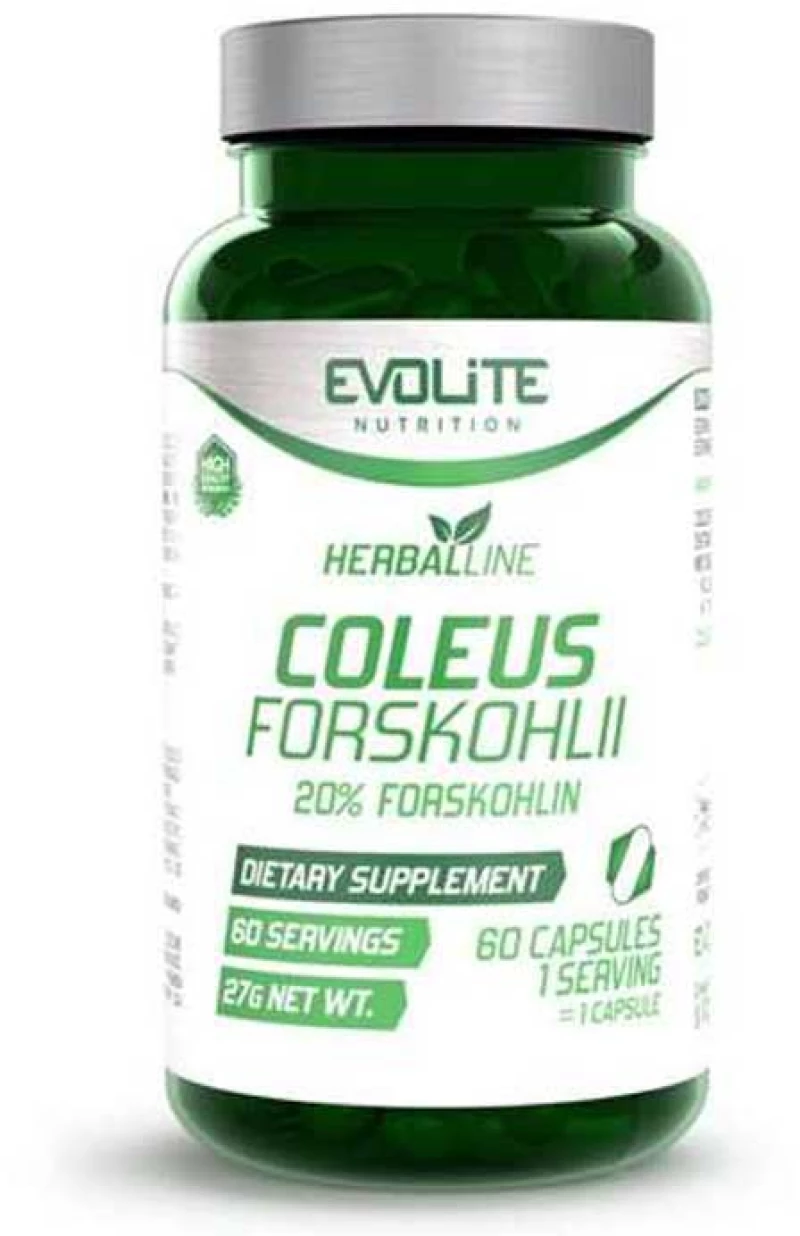 Coleus Forskohlii 60 caps - Evolite