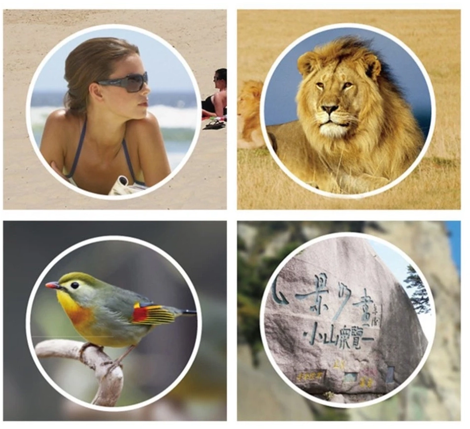 Τηλεσκόπιο Panda μέρας + νύχτας μαύρο