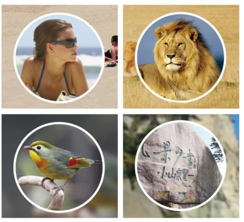 Τηλεσκόπιο Panda μέρας + νύχτας μαύρο