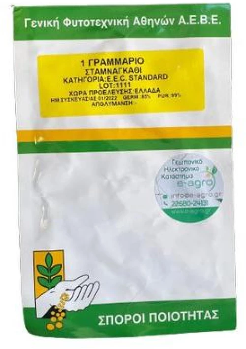 Σταμναγκάθι Παραδοσιακό Fyto | 1gr