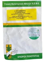Σταμναγκάθι Παραδοσιακό Fyto | 1gr
