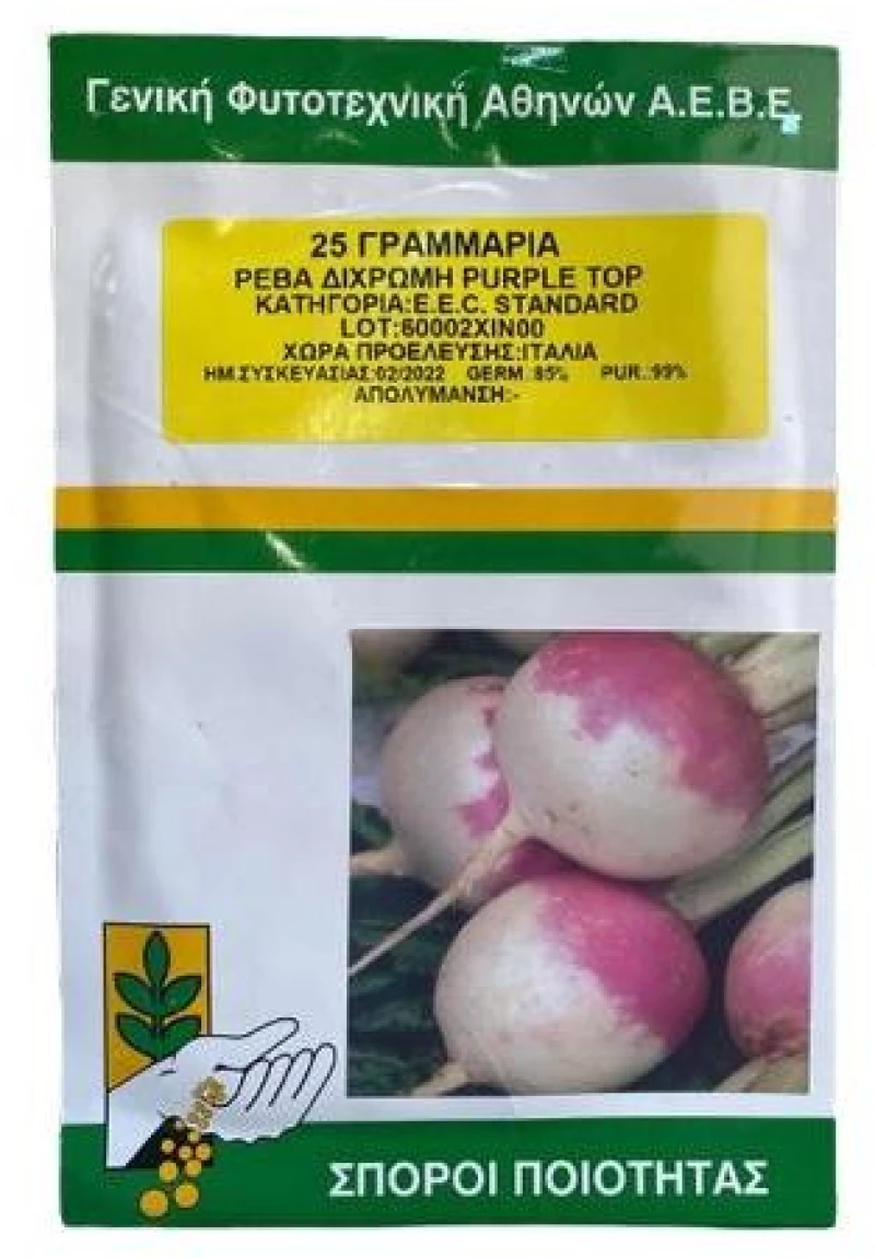 Ρέβα Δίχρωμη Purple Top | 25gr