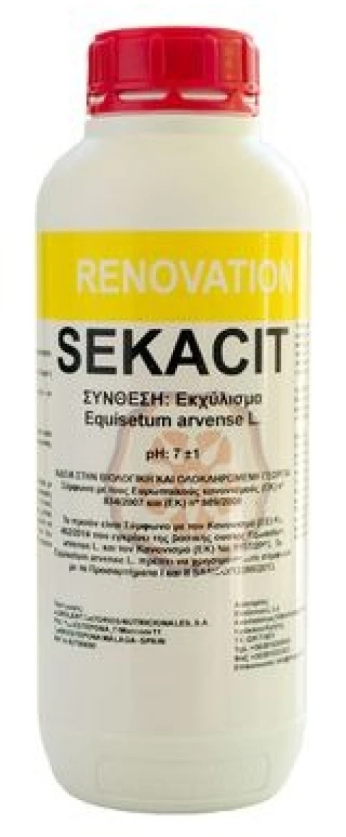 Sekacit Renovation | 1lt