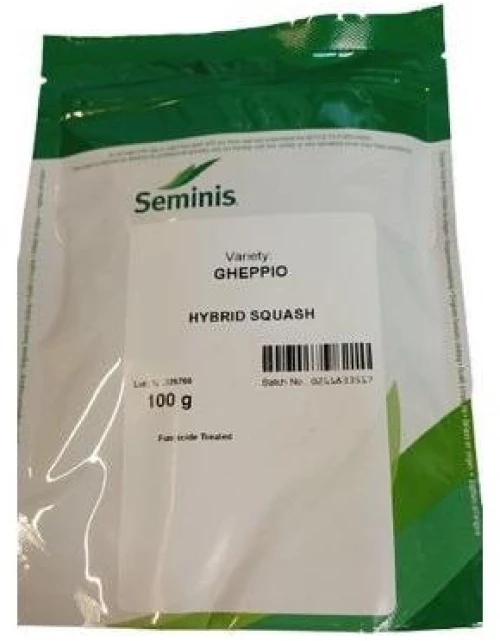 Κολοκύθι Πρώιμο Gheppio F1 |100gr