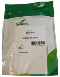 Κολοκύθι Πρώιμο Gheppio F1 |100gr
