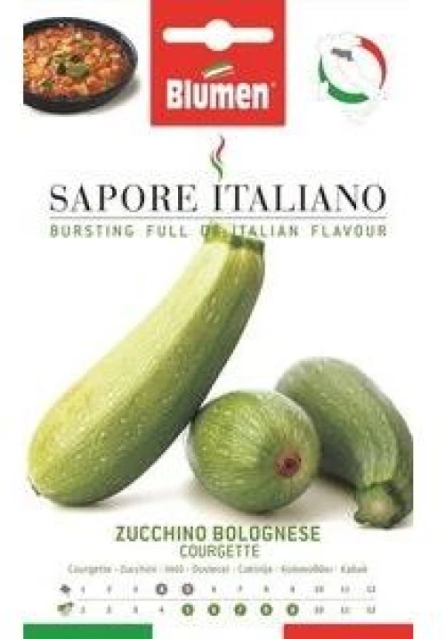 Κολοκύθι Ανοικτόχρωμο Bolognege