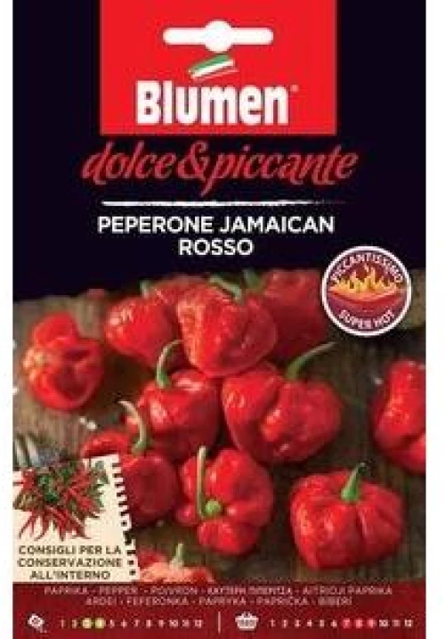 Πιπεριά Jamaican Rosso(Αρκετά Καυτερή)