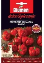 Πιπεριά Jamaican Rosso(Αρκετά Καυτερή)