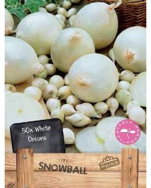 Κοκκάρι Άσπρο "Snowball" | 750gr