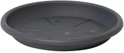Πιατάκι ISCI Anthracite