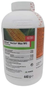 Hector Max WG | 440gr