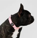 Περιλαίμιο Σκύλου Με Ρίγες Boss Dog Core Walk Stripe Collar
