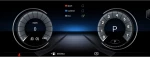 DIGITAL IQ MSG 15950_CPA (10.25  ) (NTB) MULTIMEDIA OEM BMW S.1 (F20-21) mod. 2011-2016