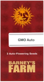 Barneys GMO Auto - 3 seeds