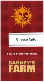 Barneys Cheese Auto - 5 seeds