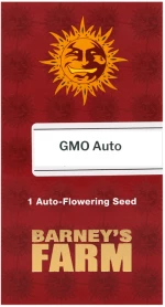 Barneys GMO Auto - 1 seed