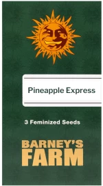Barneys - Pineapple Express - 3 seeds