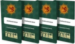 Barneys Farm - Acapulco Gold - 5 seeds