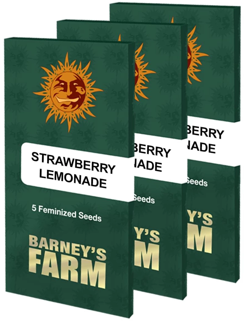 Barneys - Strawberry Lemonade - 3 seeds