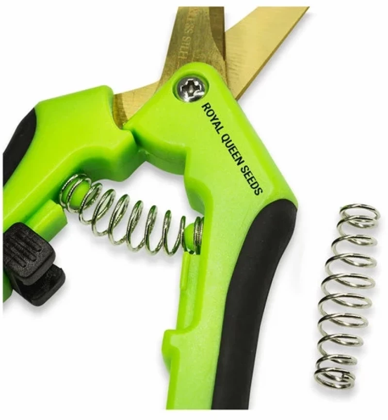Curved Trimming Scissors