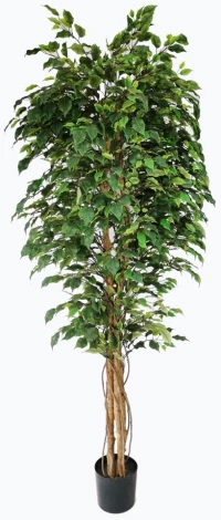 FICUS TREE NP230_210_UV ΥΨΟΣ 210cm New Plan