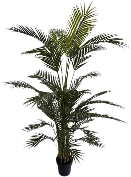 PALM TREE  NP160_210_UV  ΥΨΟΣ 210cm New Plan