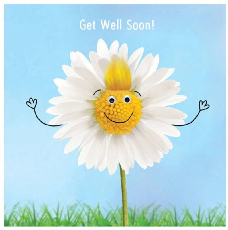 Ευχετήρια Κάρτα Get Well Soon 'TRACKS FLUFF'' Μαργαρίτα