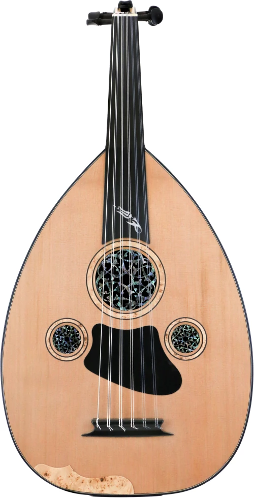Yildirim Palabiyik W400 Professional Oud