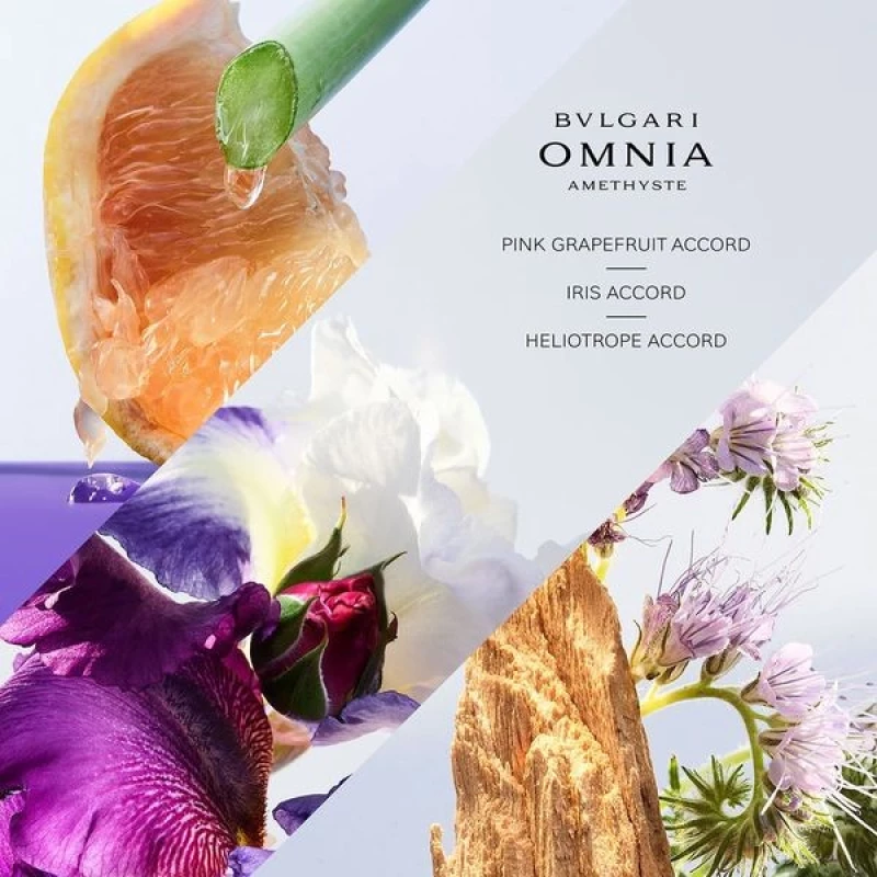 Bulgari Omnia Amethyste EDT 50ml