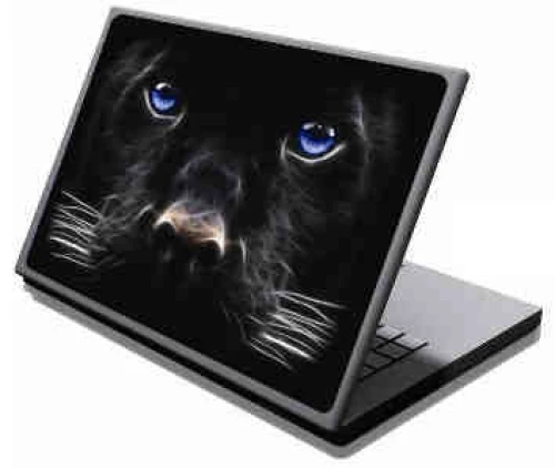 LAMTECH 9.2'-12.4' LAPTOP SKIN DOG BLUE EYES