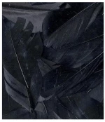 Φτερά artemio 3gr μαύρα 1213030033
