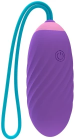 EGY PURPLE VIBRATING VAGINAL EGG