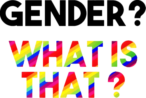 Gender what is this