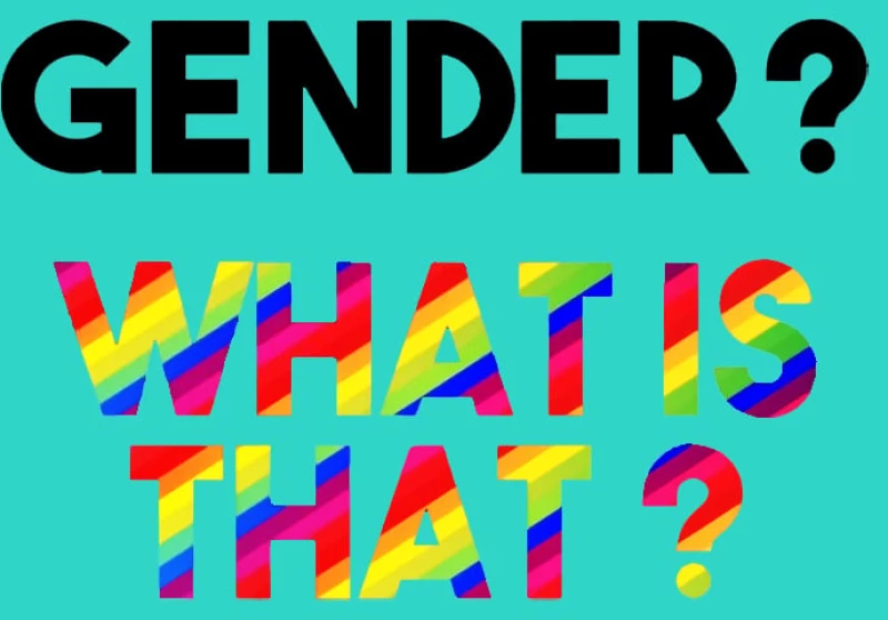 Gender what is this