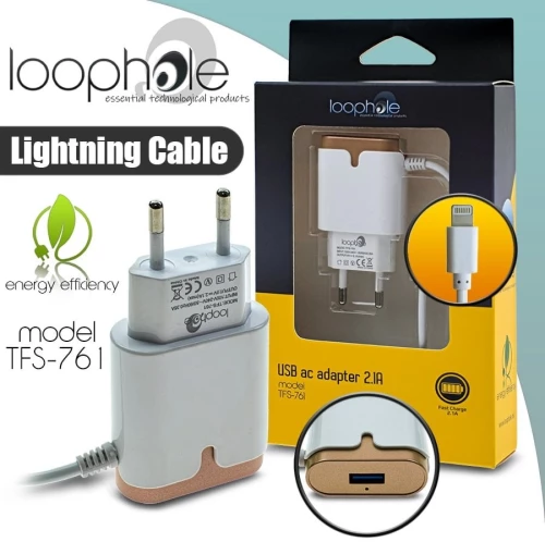 Loophole Ac Adapter Lightning Gold