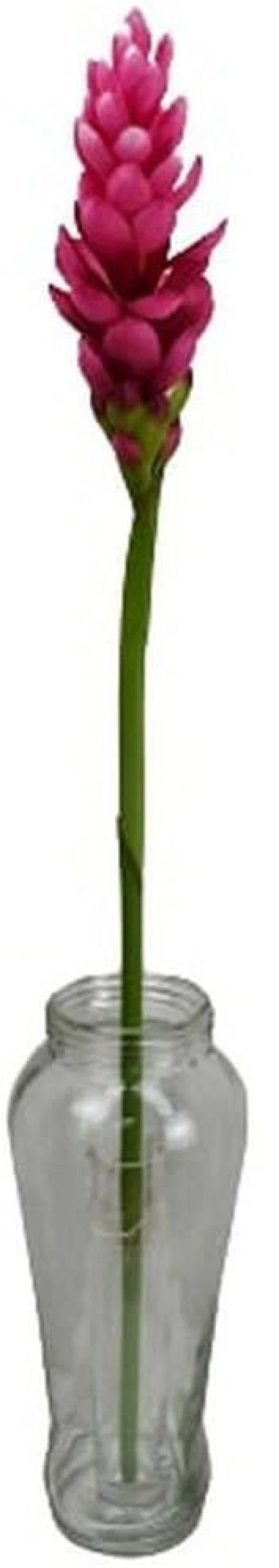Τεχνητό Λουλούδι Τζίντζερ 3961-7 86cm Fuchsia Supergreens Πολυαιθυλένιο,Ύφασμα