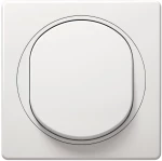 Eon alternative switch, white