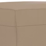 ΠΑΓΚΟΣ ΚΑΠΟΥΤΣΙΝΟ 70X35X41 ΕΚ. ΑΠΟ ΣΥΝΘΕΤΙΚΟ ΔΕΡΜΑ 349444