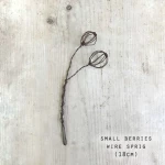 ΣΥΡΜΑΤΙΝΟ ΒΛΑΣΤΑΡΙ - BERRIES SM 18ΕΚ.
