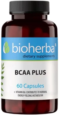 Bioherba BCAA Plus [60 Κάψουλες]