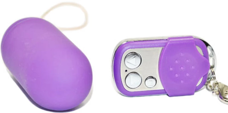 10 Function Remote Car Controller Style Vibrating Egg ( Purple )