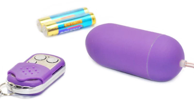 10 Function Remote Car Controller Style Vibrating Egg ( Purple )