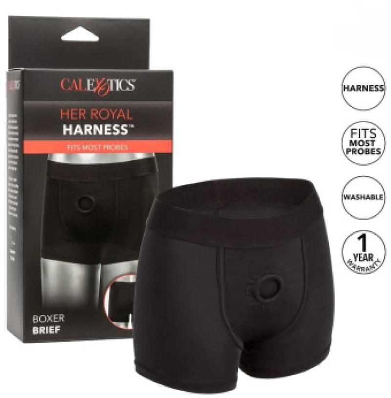 Boxer Brief Harness with O ring