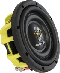 Subwoofer GZHW 8SPL-D2 FLAT